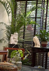 Sustainability is not a trend, its a conscious choice